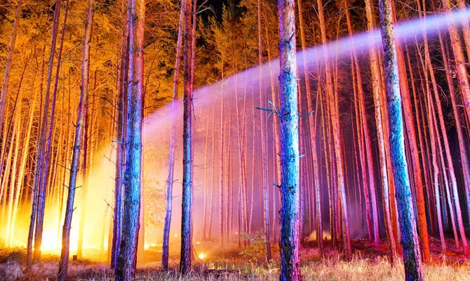 Fire brigades try to extinguish a burning forest on August 24, 2018 in Klausdorf, northeastern Germany, as a forest fire raging 50 kilometres southwest of Berlin continued to spread. (AFP)