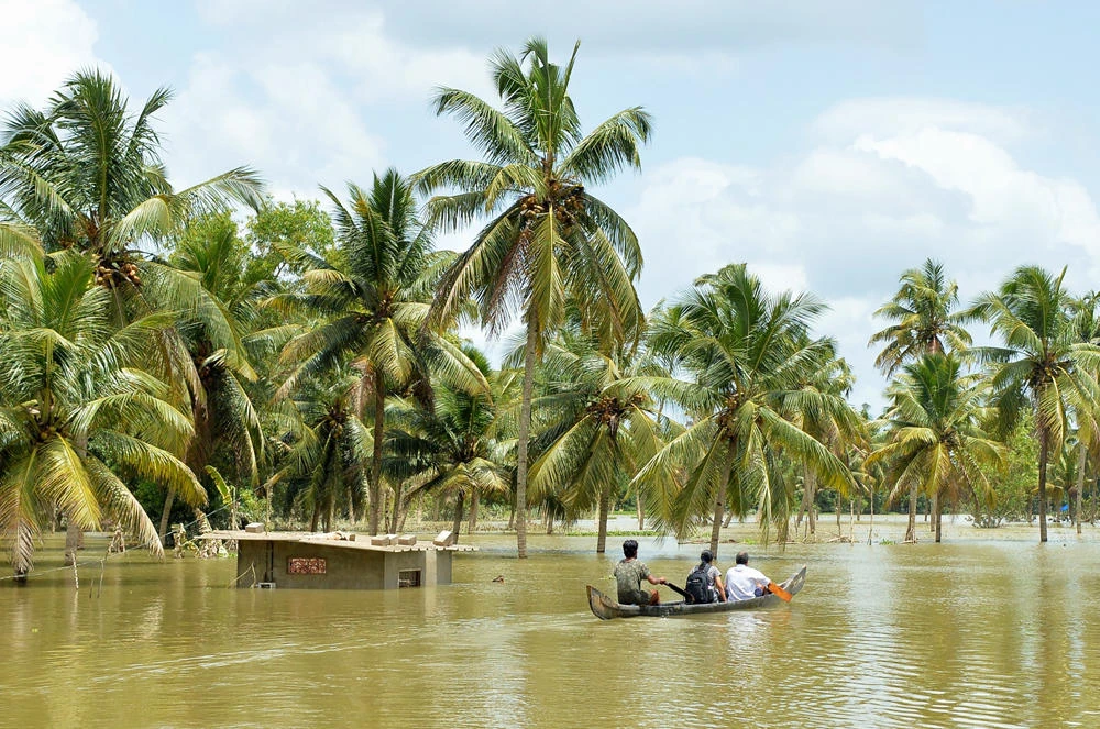 Over 1,200 people killed in South Asia monsoon