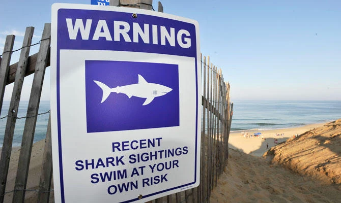 Shark attack victim says he punched shark in gills to escape