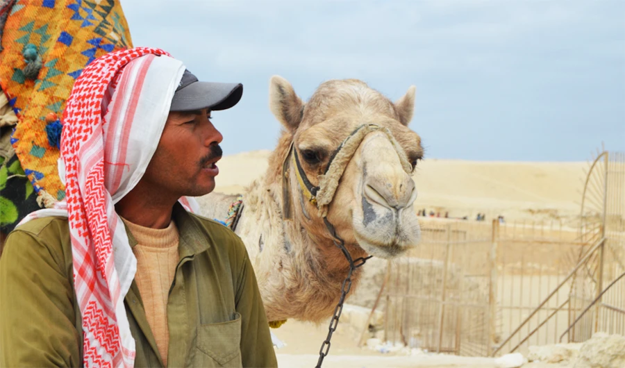 The first story by Ahmed, from Egypt, highlights the life of a camel driver near the famous Pyramids in the Giza area.