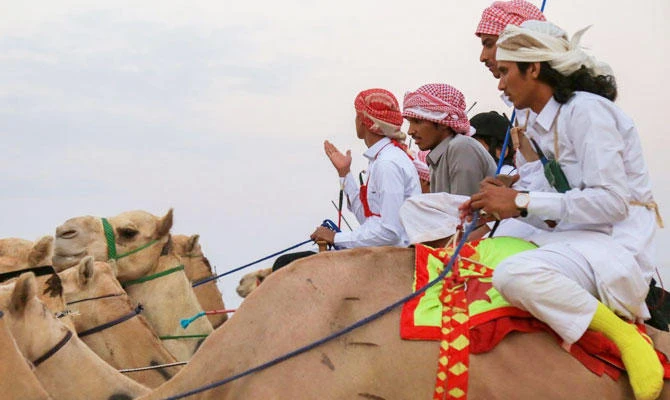 The festival will feature sports, cultural and entertainment activities alongside educational workshops for camel owners and visitors interested in camel sports. (SPA)