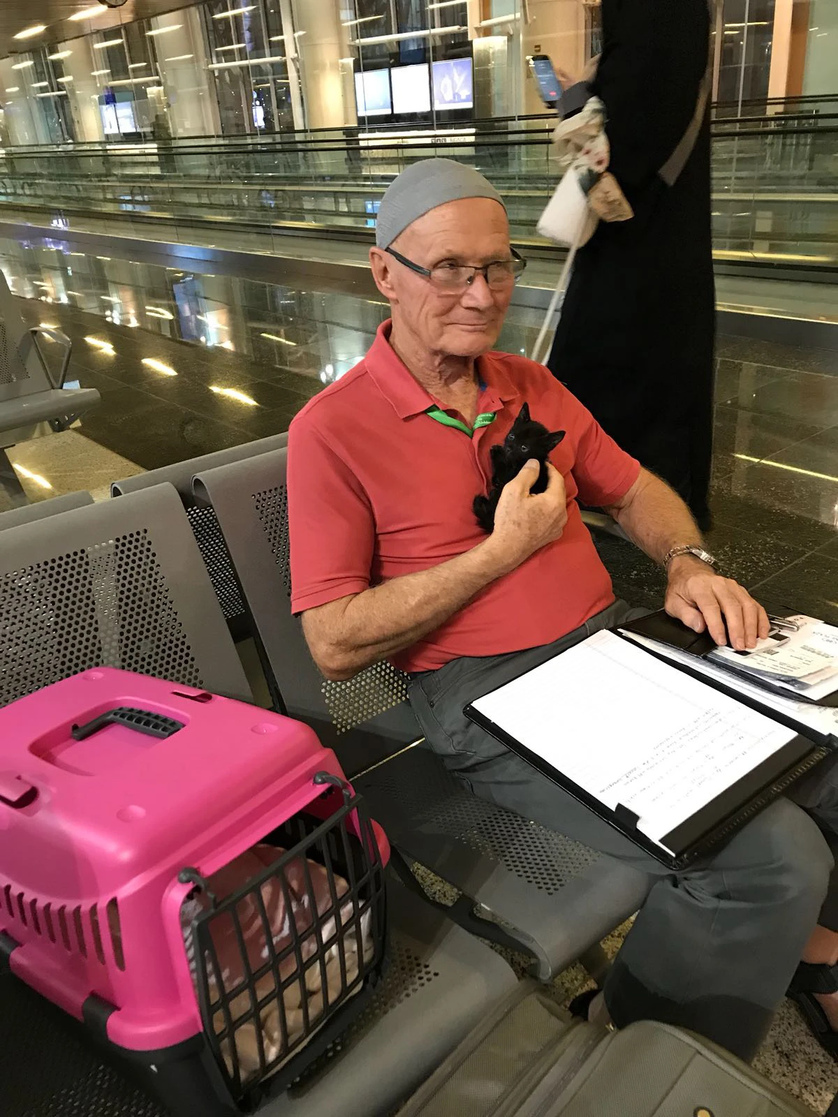 The luckiest black cat in Madinah, now living happily in Canada