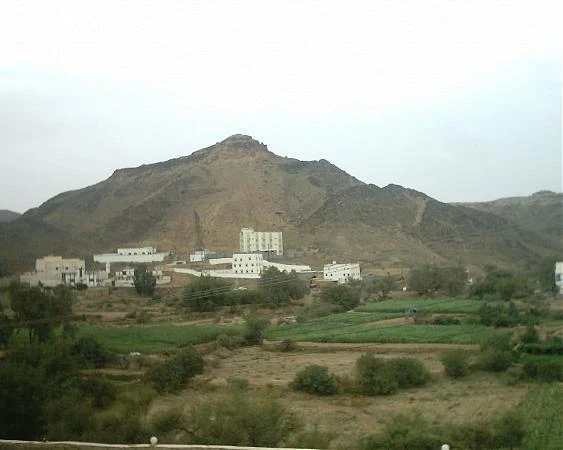 The Saudi Geological Survey Authority recorded a 4.0 earthquake in the southern Saudi city of Dhahran Al-Janoub.(Wikimapia)