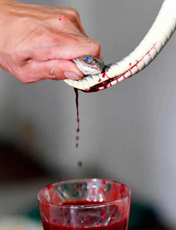 This photo taken on August 24, 2018 shows chef Dinh Tien Dung collecting snake blood on a glass of rice wine at a specialty restaurant in Yen Bai province. (AFP)
