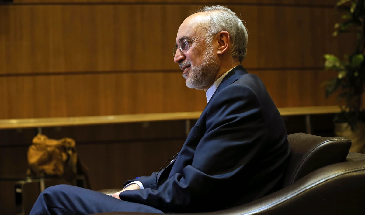 Ali Akbar Salehi, head of the Atomic Energy Organization and vice president to Hassan Rouhani, said Tehran would resume uranium enrichment with more sophisticated equipment. (AP)
