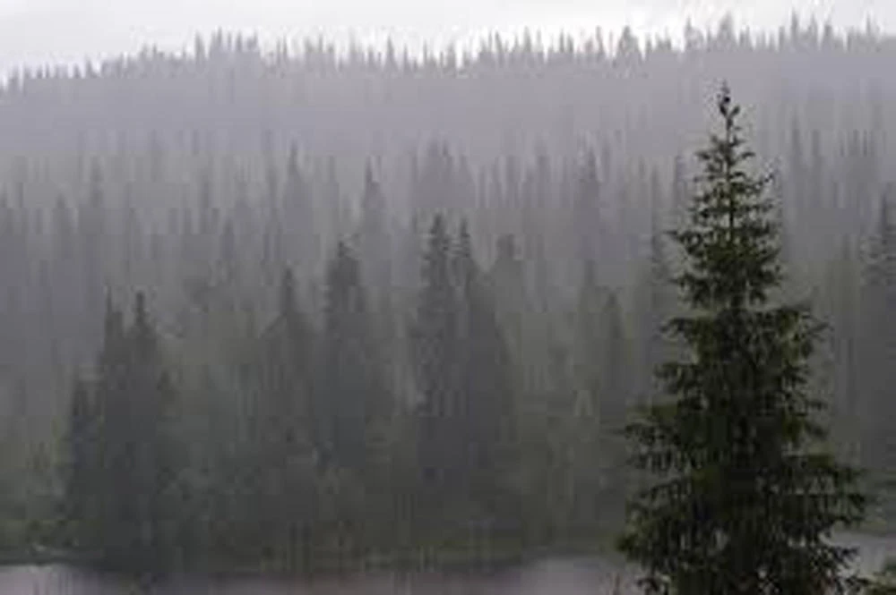 Einar Aas bet that the spread between energy prices on the Nordic and German electricity markets would narrow, but heavy rains proceeded to fill the reservoirs of hydroelectric dams across northern Europe. Above, rainfall in the Telemark region of Norway. (Wikimedia Commons)