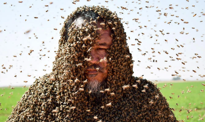 Zuhair Fatani loves working with bees and points out that while they might appear scary, they are very good for humans. (Reuters)