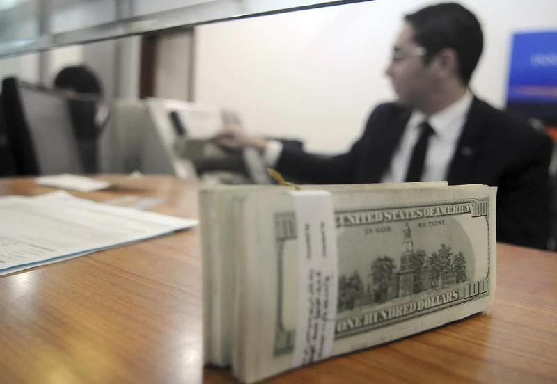 An employee of a money changer counts U.S. dollar notes for a customer at a bank in Cairo December 31, 2013. (Reuters)