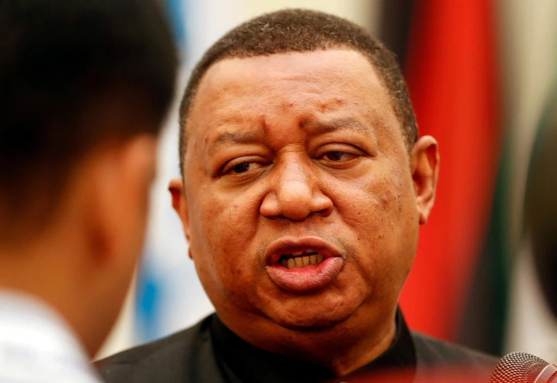 OPEC Secretary-General Mohammed Barkindo speaks with the media. (Reuters)