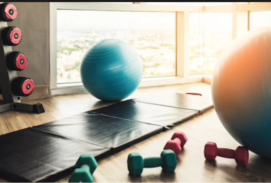The professor also told police after his arrest that Lily knew about the dangerous gas in the yoga ball, and suggested she may have wanted to commit suicide. (Shutter stock)