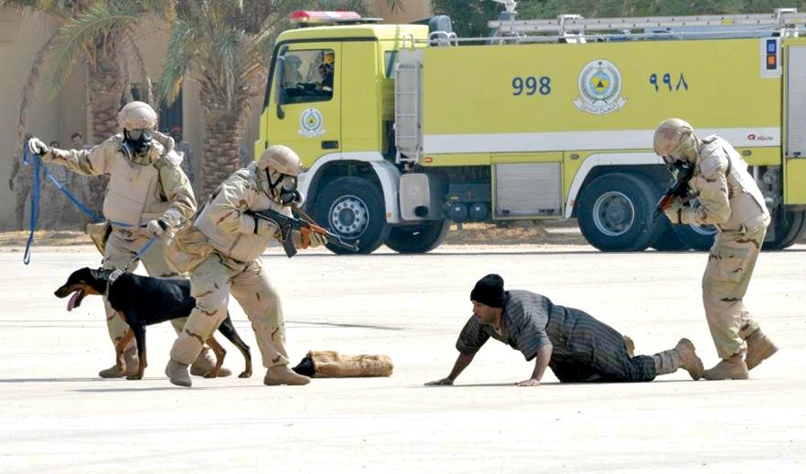 The exercise aims to support security, stability and cooperation in the region. (SPA)