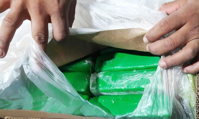 540 packages of cocaine were found in 45 boxes of bananas. (AFP)