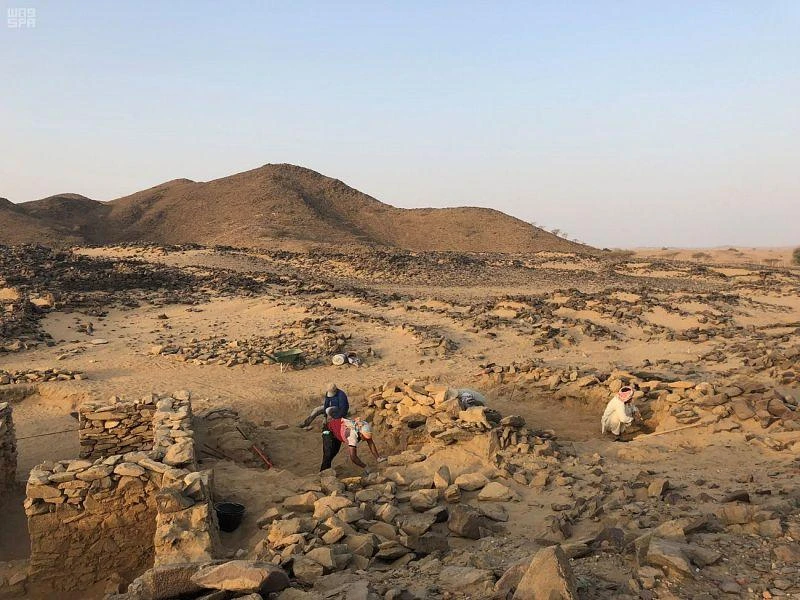 A year of unprecedented archaeological findings in Saudi Arabia
