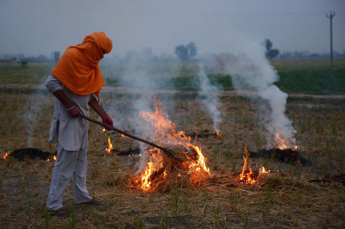 Burning truth: Farmers set fire to fields as Delhi braces for smog - Arab News