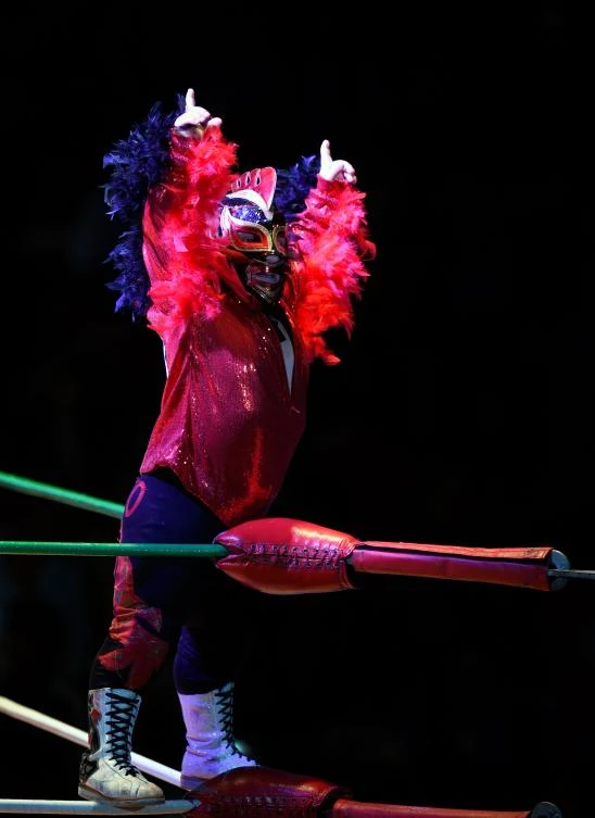 Dwarf fighter Gallito (Little Rooster) waves during a fight at the Arena Mexico, in Mexico City on September 07, 2018. "Microstars" is a show that mixes sport, circus and collective catharsis in what Mexicans call "fights". / AFP / ALFREDO ESTRELLA