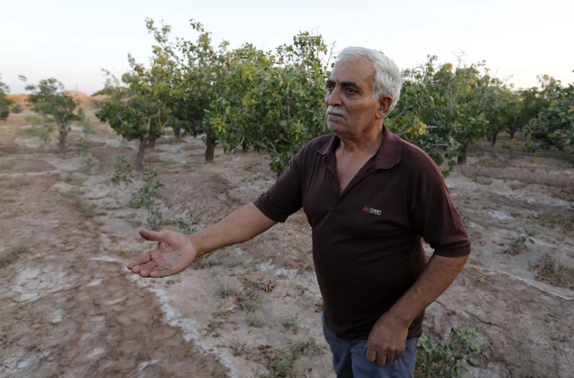 Hassan Ali Firouzabadi works in his pistachio farm in southern Iran. Time is running out for the industry as climate change take a devastating toll. (AFP)