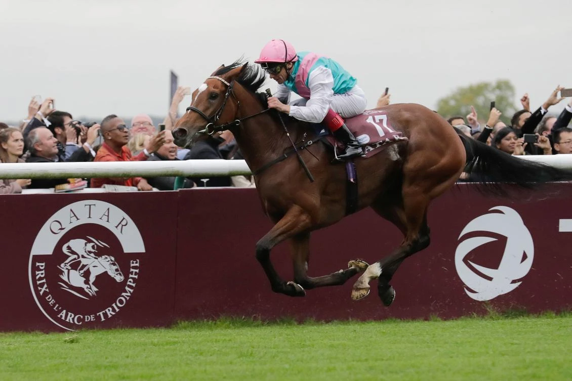 Saudi Arabian-owned Enable eyes hat-trick after second Prix de l’Arc de Triomphe victory