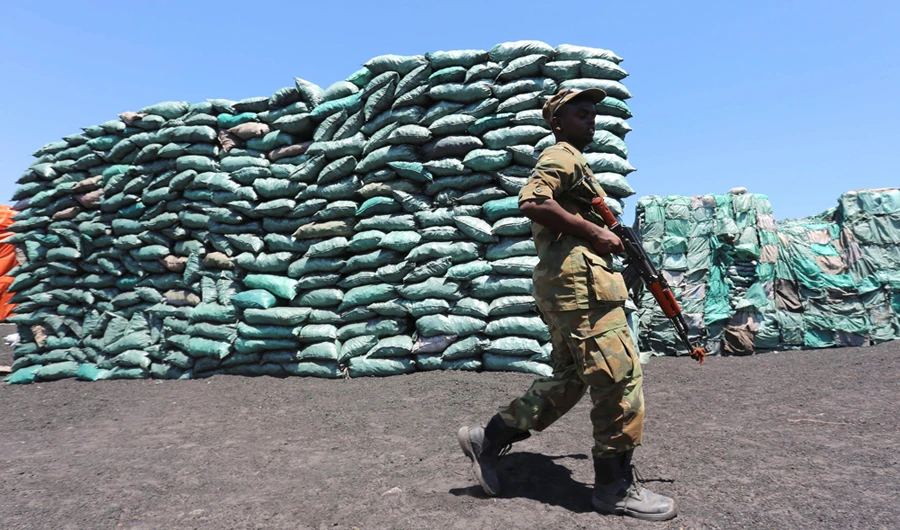 A Somalian soldier walks past a consignment of charcoal destined for the export market in Barawe. (REUTERS/Feisal Omar/File Photo)