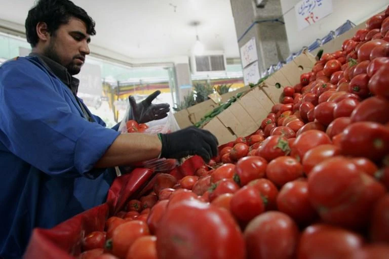 The Iranian government has banned tomato exports, one of the many interventions to try to limit economic instability, but the policy was not working. (AFP)