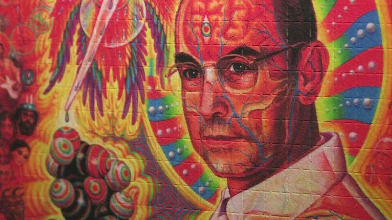 Lysergic acid diethylamide was labelled a "problem child" by the man who discovered its hallucinogenic properties in 1943: as it turns 75, the drug known as LSD may now be changing its image. (AFP)