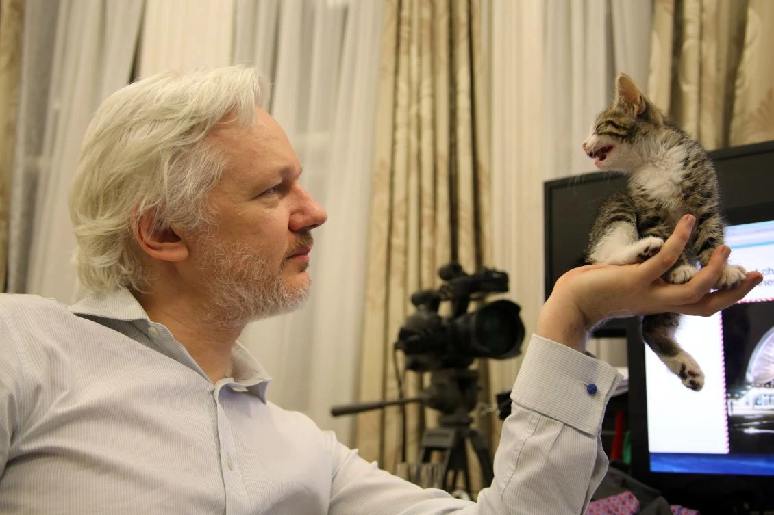 Julian Assange has reportedly been instructed to keep the Ecuadorean embassy clean and threatened with the confiscation of his pet cat if he does not look after it. (AP Photo)