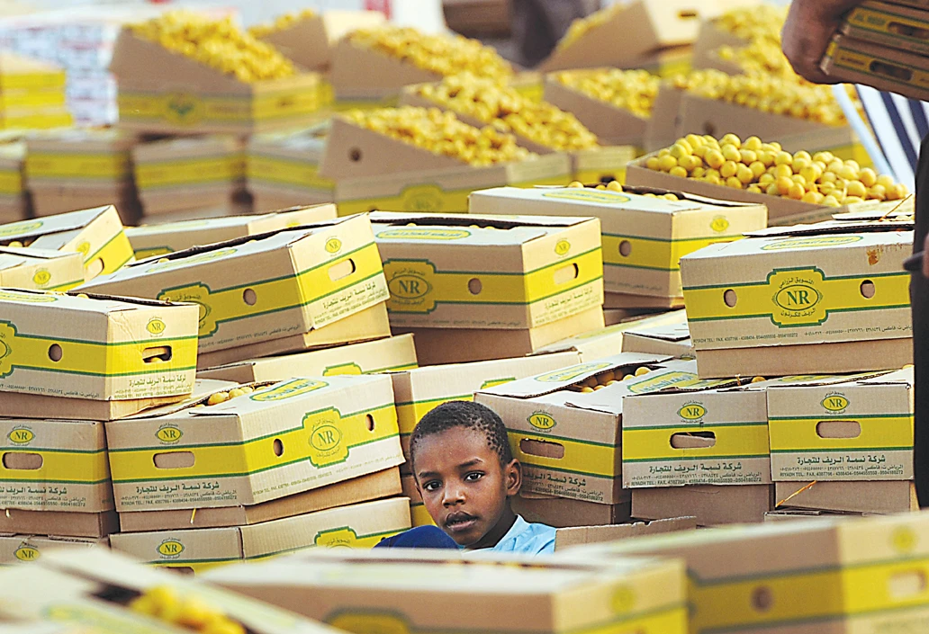 Waste not, want not: Import-reliant NENA region seeks solutions to consumption and storage issues