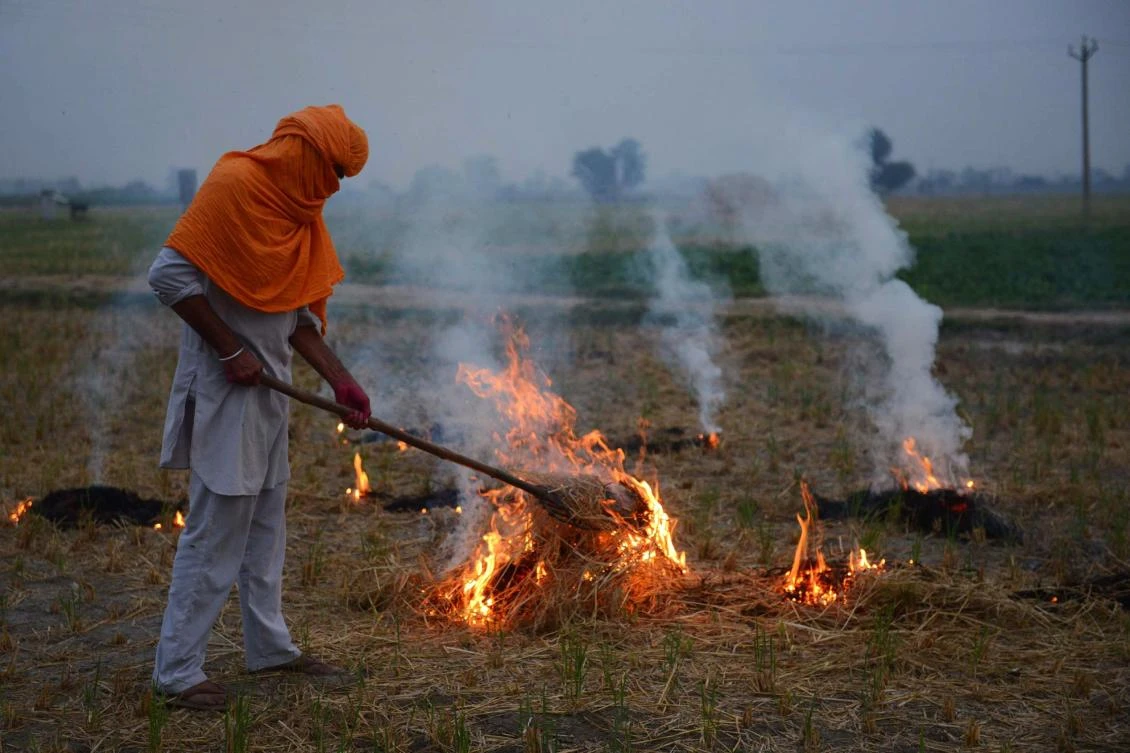 An Indian farmer burns rice straw after harvesting paddy crops in a field on the outskirts of Amritsar. (AFP)