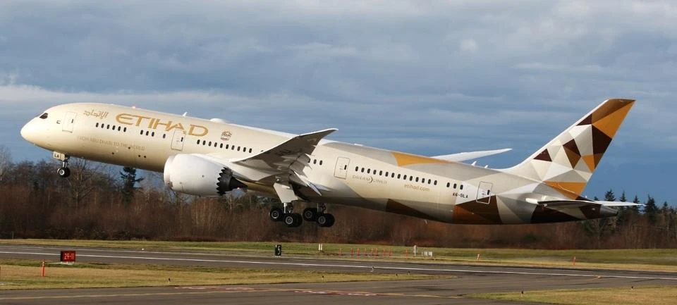 Indonesian woman gives birth on Etihad flight