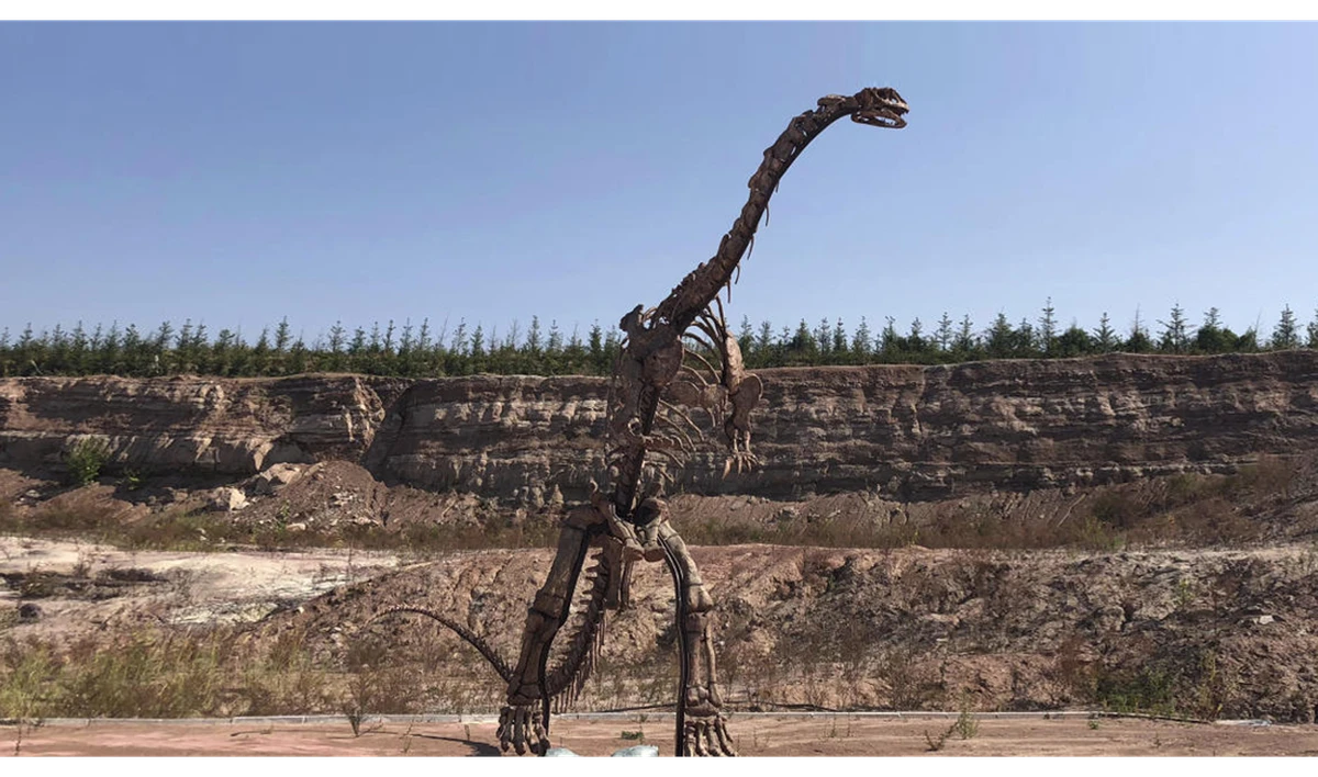 China building boom uncovers buried dinosaurs, makes a star