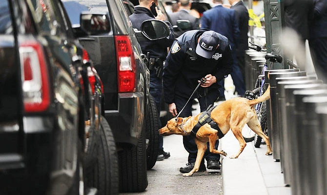 In this file photo taken on October 24, 2018 a police bomb sniffing dog is deployed outside of the Time Warner Center after an explosive device was found in New York City. (AFP)