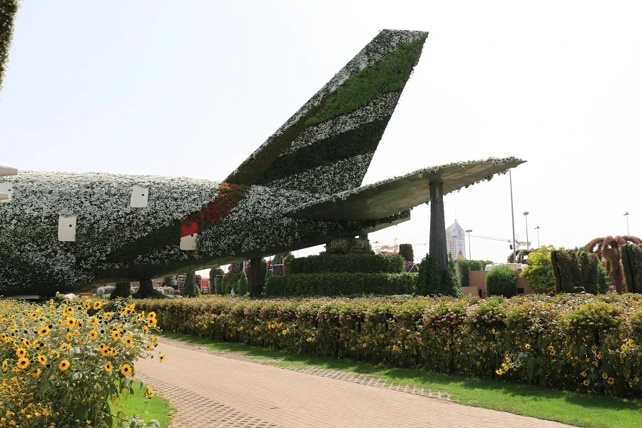 The largest flower arrangement in the world can be found in Dubai Miracle Garden in the shape of an Emirates Airline Airbus A380. (Shutterstock)