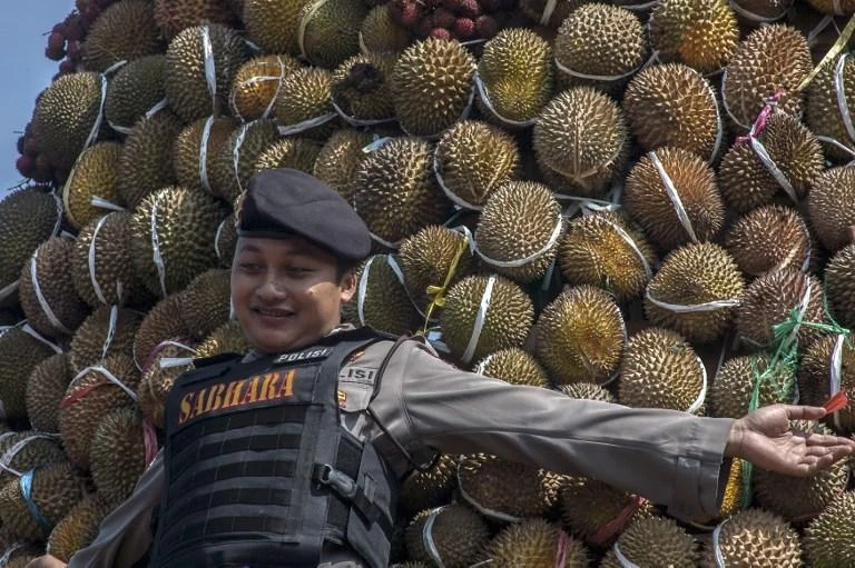 Passengers create stink over pungent Indonesian planeload of durian