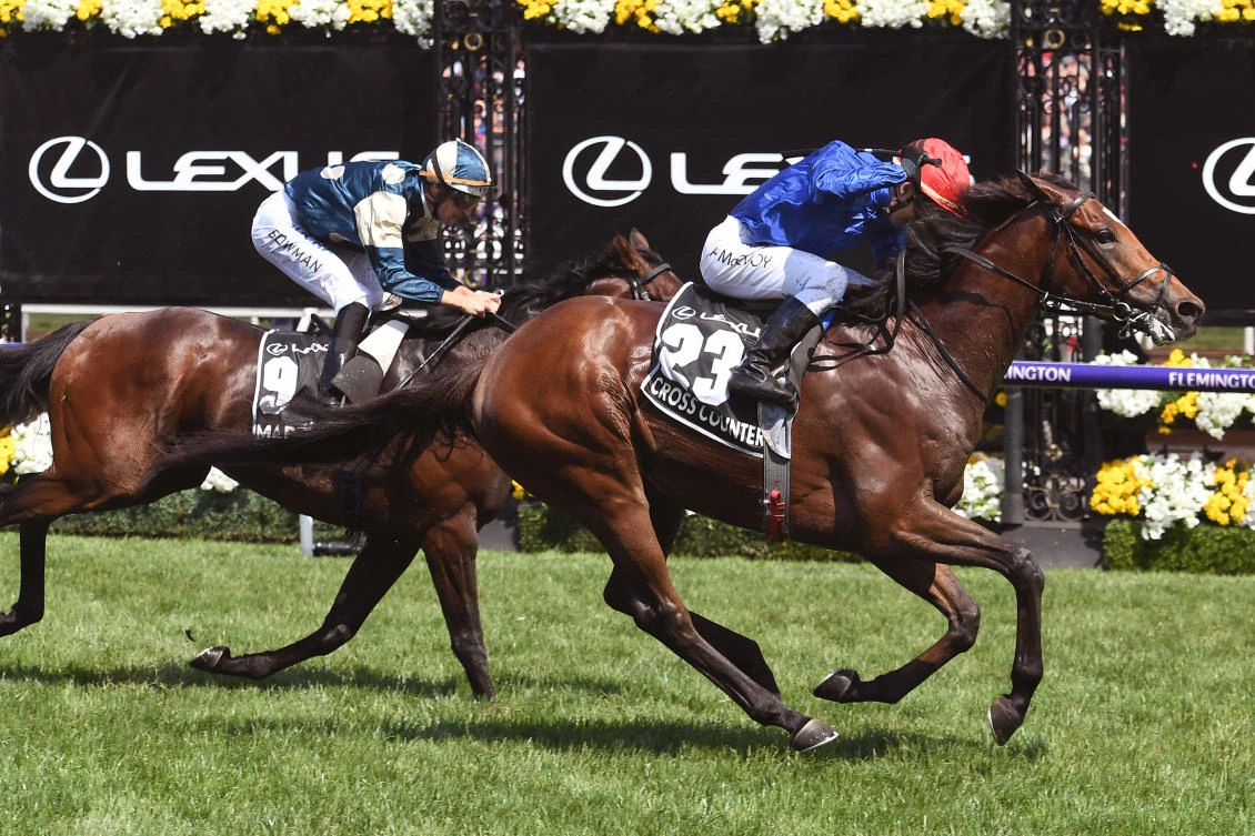 Dubai ruler Sheikh Mohammed was ‘behind Melbourne Cup victory plan’ of Cross Counter, says winning trainer Charlie Appleby