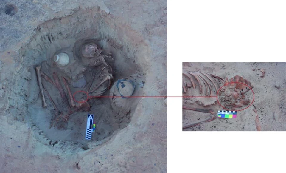 Archeologists discover pregnant woman with fetus in Ancient Egyptian burial site