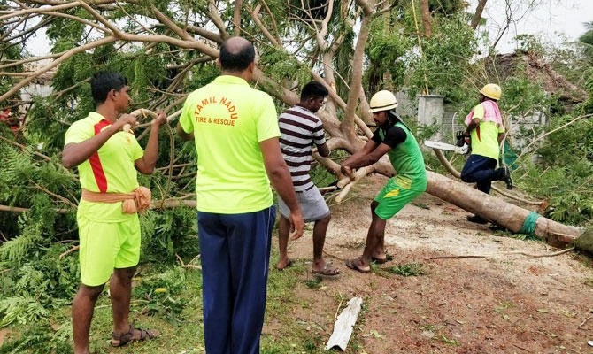 The aftermath of cyclone Gaja is seen in Tamil Nadu, India November 16, 2018 in this picture obtained from social media. (REUTERS)
