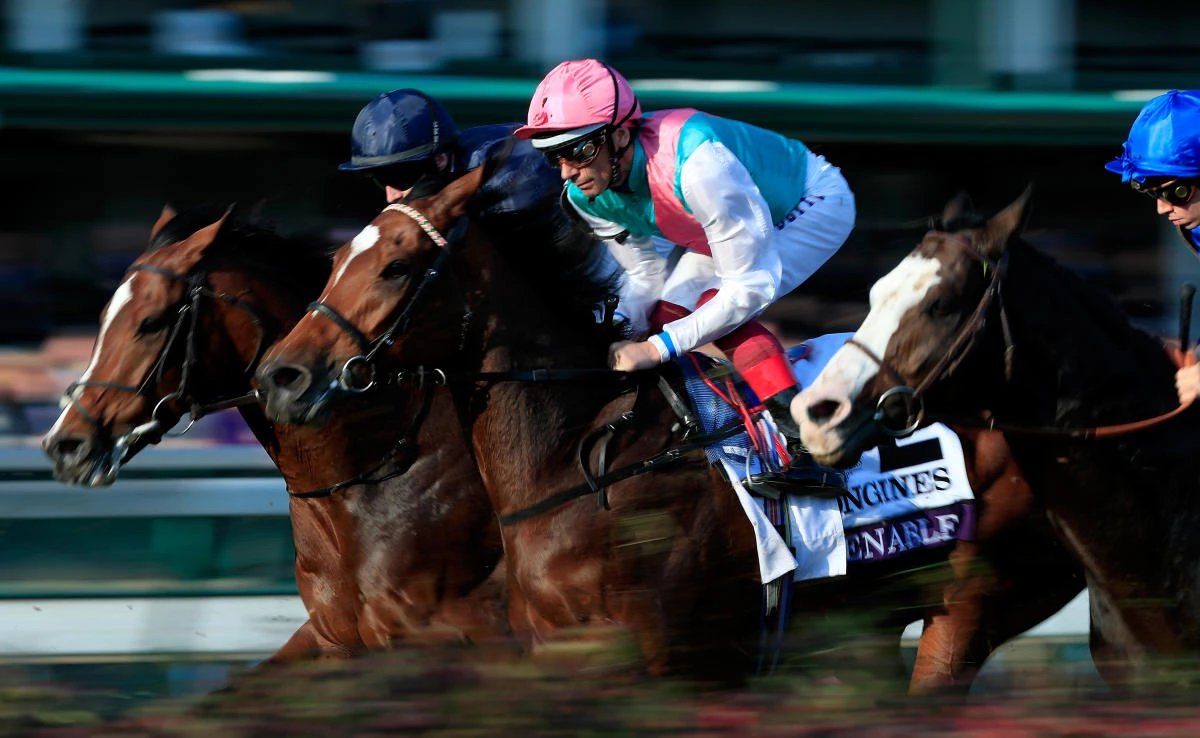 Enable sets her sights on historic Prix de l’Arc de Triomphe hat-trick