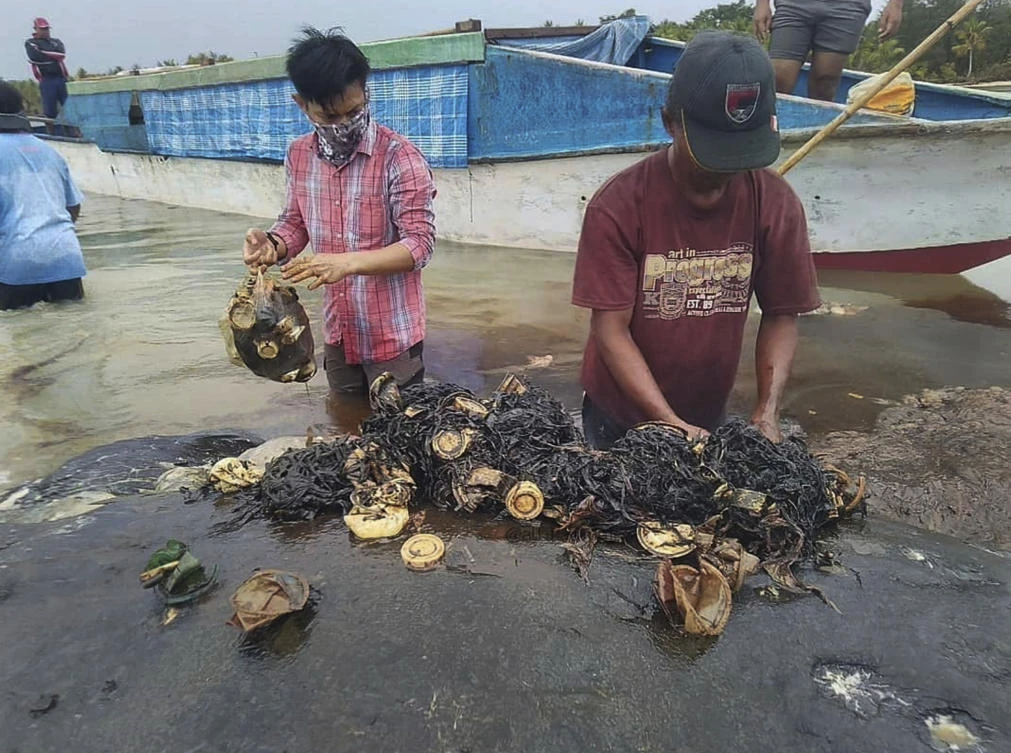 The dead whale had a large lump of plastic waste in its stomach, including drinking cups and flip-flops. (AP)