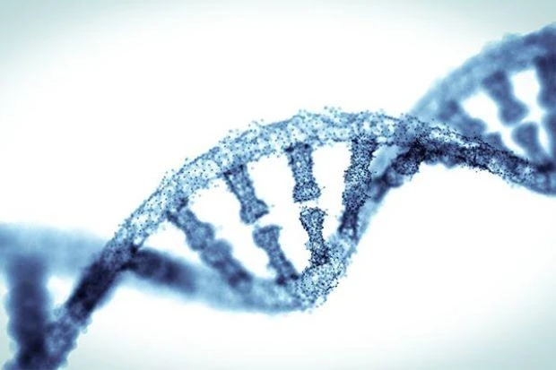 Gene-edited baby claim by Chinese scientist sparks outrage