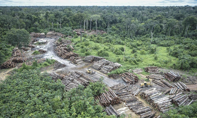 Scientists warn new Brazil president may smother rainforest