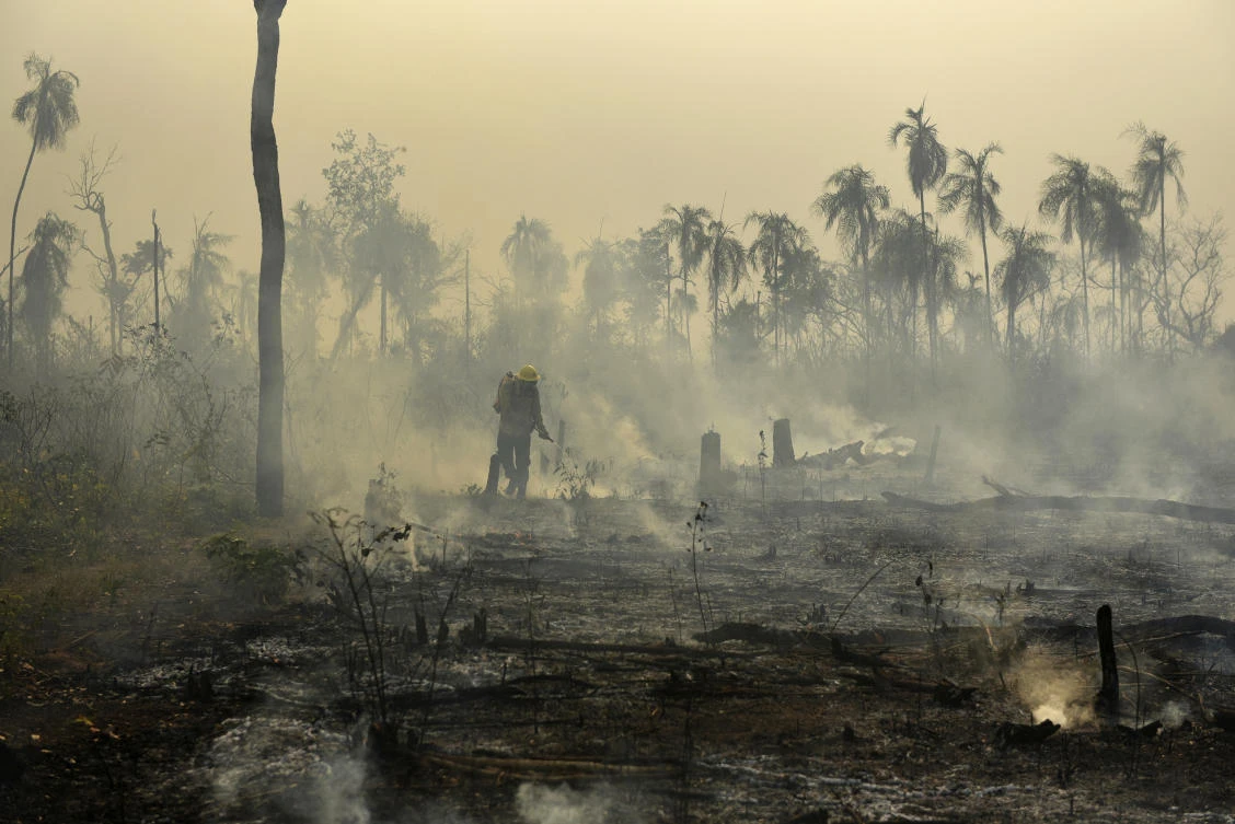 Members of the National Center to Prevent and Combat Forest Fires (PREVFOGO) fight a forest fire affecting Porquinhos indigenous lands in Maranhao state in Brazil's Amazon basin.(File/AP)