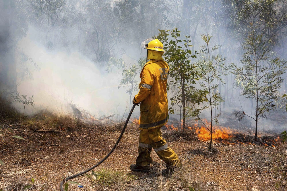 In this Nov. 2018, photo released onNov. 28, 2018, by the Queensland Fire and Emergency Service, a firefighter works on a fire ground at Deepwater, near Bundaberg, Australia. (QLD Fire and Emergency via AP)