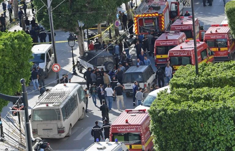 Tunisia arrests 12 suspected Daesh members, dismantles cells: ministry