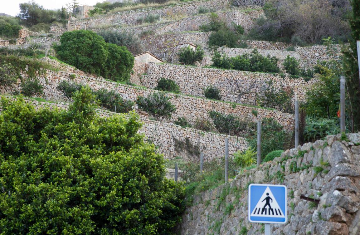 Picture shows terraces built using the dry stone technique in Banyalbufar on the Spanish Balearic Island of Mallorca on December 11, 2018. The art of dry stone walling, inscribed in 2018 on the Representative List of the Intangible Cultural Heritage of Humanity, (sometimes called drystack) is a building method by which structures are constructed from stones without any mortar to bind them together. Dry stone structures are stable because of their unique construction method, which is characterized by the presence of a load-bearing facade of carefully selected interlocking stones. / AFP / JAIME REINA