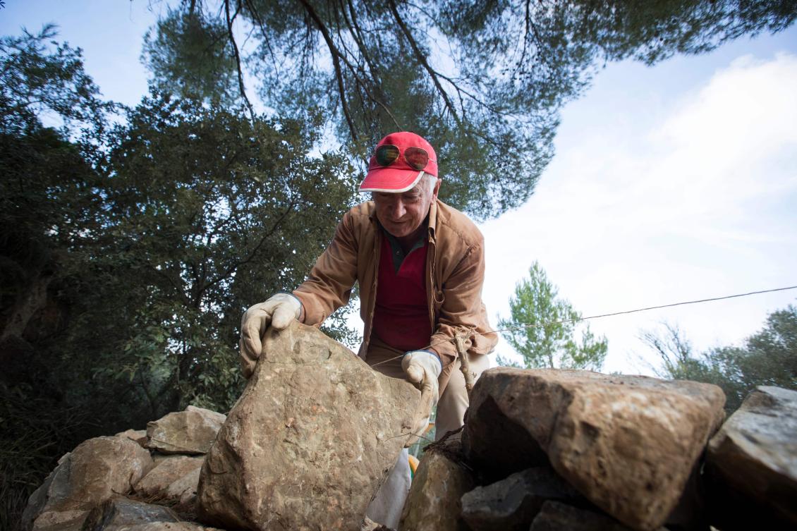 Tomeu Piza builds a wall in his farm using the dry stone technique in Esporles on the Spanish Balearic Island of Mallorca on December 11, 2018. The art of dry stone walling, inscribed in 2018 on the Representative List of the Intangible Cultural Heritage of Humanity, (sometimes called drystack) is a building method by which structures are constructed from stones without any mortar to bind them together. Dry stone structures are stable because of their unique construction method, which is characterized by the presence of a load-bearing facade of carefully selected interlocking stones. / AFP / JAIME REINA