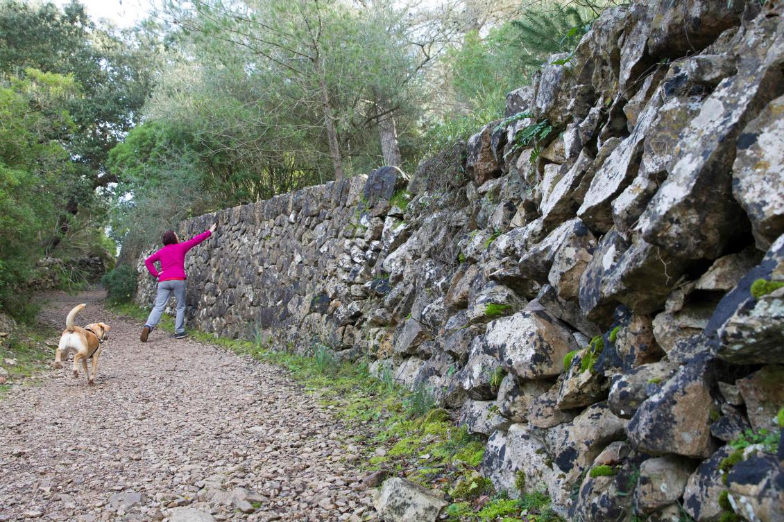 A woman touches a wall built usinf the dry stone technique in Esporles on the Spanish Balearic Island of Mallorca on December 11, 2018. The art of dry stone walling, inscribed in 2018 on the Representative List of the Intangible Cultural Heritage of Humanity, (sometimes called drystack) is a building method by which structures are constructed from stones without any mortar to bind them together. Dry stone structures are stable because of their unique construction method, which is characterized by the presence of a load-bearing facade of carefully selected interlocking stones. / AFP / JAIME REINA
