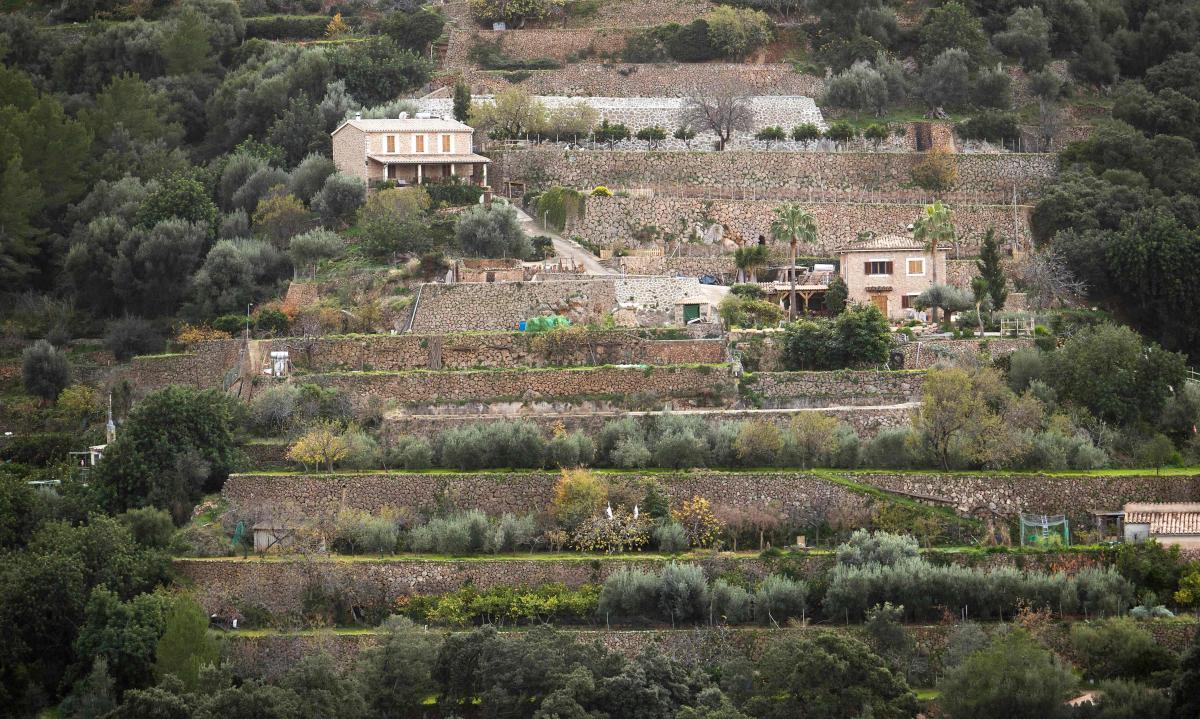 Picture shows terraces built using the dry stone technique in Banyalbufar on the Spanish Balearic Island of Mallorca on December 11, 2018. The art of dry stone walling, inscribed in 2018 on the Representative List of the Intangible Cultural Heritage of Humanity, (sometimes called drystack) is a building method by which structures are constructed from stones without any mortar to bind them together. Dry stone structures are stable because of their unique construction method, which is characterized by the presence of a load-bearing facade of carefully selected interlocking stones. / AFP / JAIME REINA