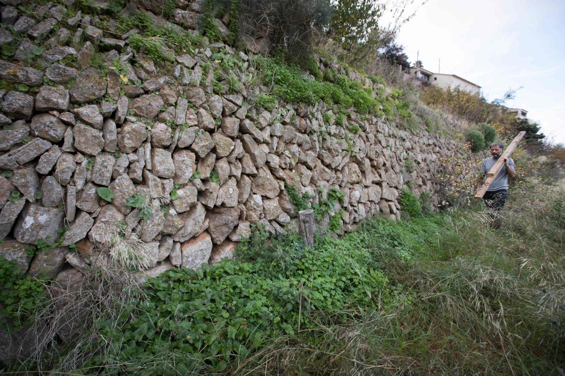 A man walks past a wall built using the dry stone technique in Banyalbufar on the Spanish Balearic Island of Mallorca on December 11, 2018. The art of dry stone walling, inscribed in 2018 on the Representative List of the Intangible Cultural Heritage of Humanity, (sometimes called drystack) is a building method by which structures are constructed from stones without any mortar to bind them together. Dry stone structures are stable because of their unique construction method, which is characterized by the presence of a load-bearing facade of carefully selected interlocking stones. / AFP / JAIME REINA