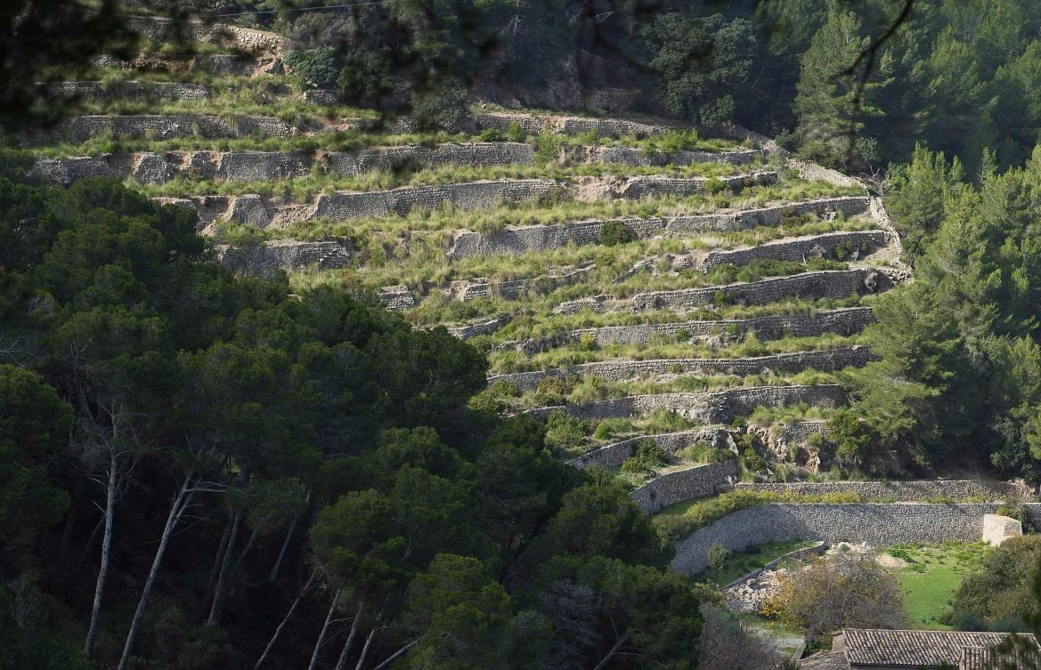 Picture shows terraces built using the dry stone technique in Banyalbufar on the Spanish Balearic Island of Mallorca on December 11, 2018. The art of dry stone walling, inscribed in 2018 on the Representative List of the Intangible Cultural Heritage of Humanity, (sometimes called drystack) is a building method by which structures are constructed from stones without any mortar to bind them together. Dry stone structures are stable because of their unique construction method, which is characterized by the presence of a load-bearing facade of carefully selected interlocking stones. / AFP / JAIME REINA