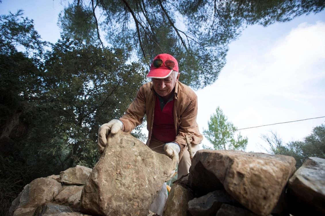 Tomeu Piza builds a wall in his farm using the dry stone technique in Esporles on the Spanish Balearic Island of Mallorca on December 11, 2018. The art of dry stone walling, inscribed in 2018 on the Representative List of the Intangible Cultural Heritage of Humanity, (sometimes called drystack) is a building method by which structures are constructed from stones without any mortar to bind them together. Dry stone structures are stable because of their unique construction method, which is characterized by the presence of a load-bearing facade of carefully selected interlocking stones. / AFP / JAIME REINA