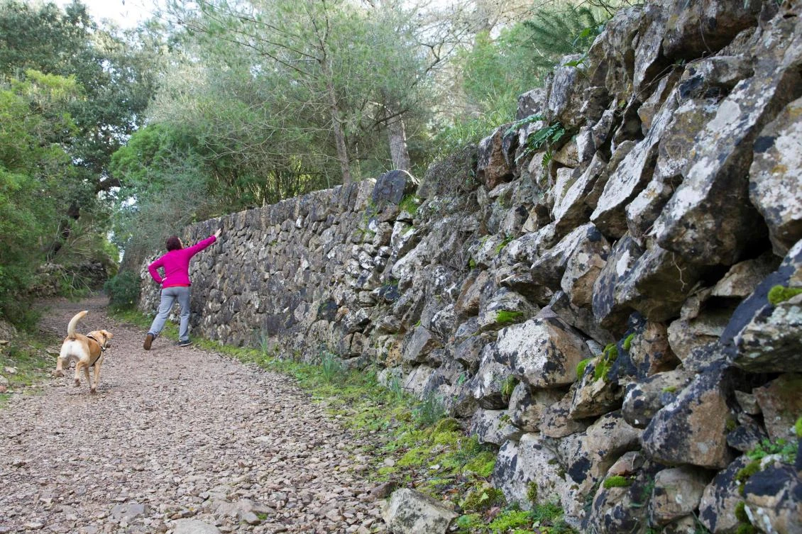 A woman touches a wall built usinf the dry stone technique in Esporles on the Spanish Balearic Island of Mallorca on December 11, 2018. The art of dry stone walling, inscribed in 2018 on the Representative List of the Intangible Cultural Heritage of Humanity, (sometimes called drystack) is a building method by which structures are constructed from stones without any mortar to bind them together. Dry stone structures are stable because of their unique construction method, which is characterized by the presence of a load-bearing facade of carefully selected interlocking stones. / AFP / JAIME REINA